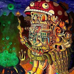 Meet your Posher, Dom